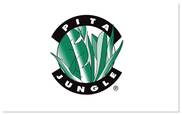 media buying Pita jungle media buying Pita jungle